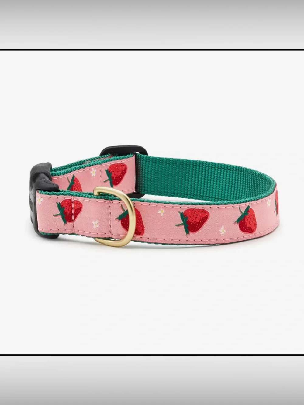 Up Country Strawberry Print Dog Collar